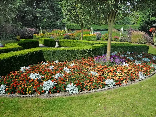 Curved flower bed of orange and red marigolds with a clean edge against the lawn