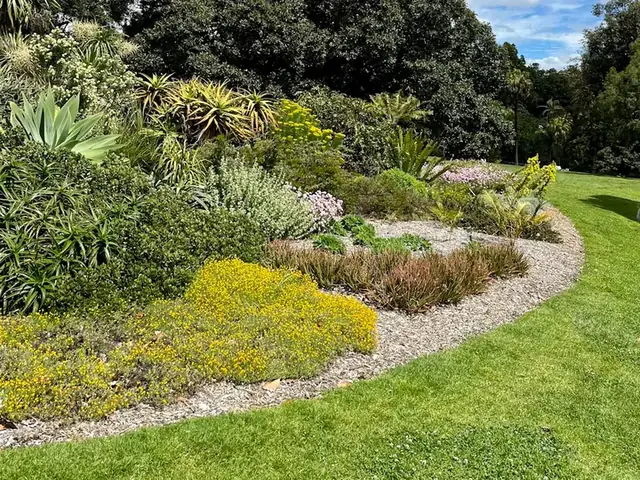 Mulched garden bed with drought-tolerant plants curving along a green lawn